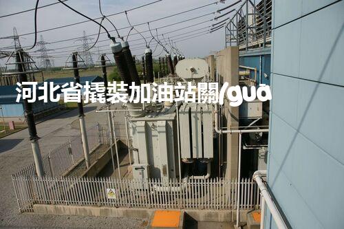 河北省撬裝加油站關(guān)鍵技術(shù)突破！化工廠拆除工程的新方法探索？